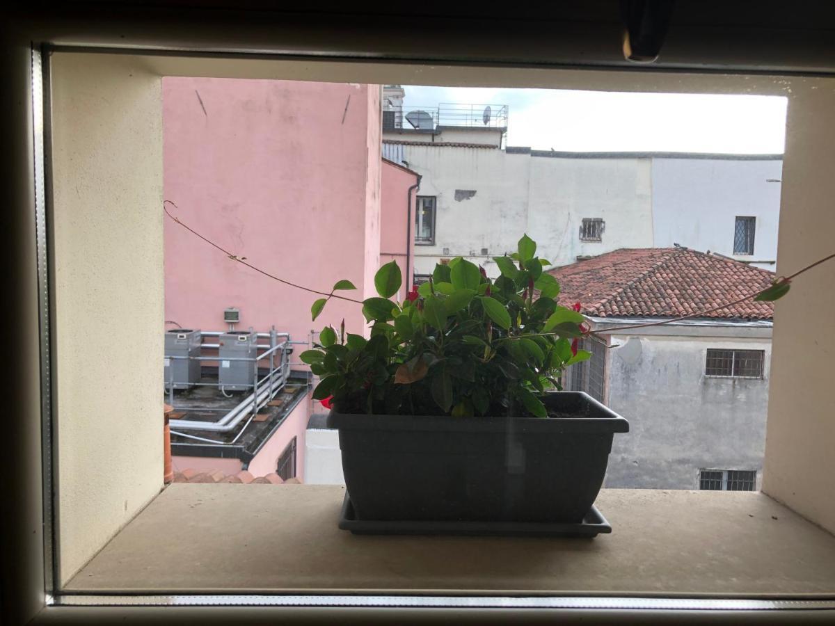 维琴察 Residenza Privata Pedrotti酒店 外观 照片